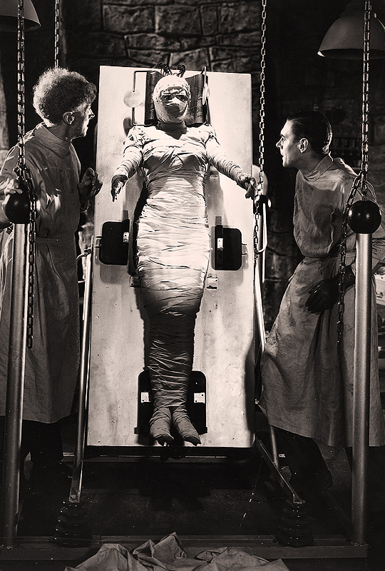  Bride of Frankenstein (1935) blue-ray rip Mkv 720p latino
