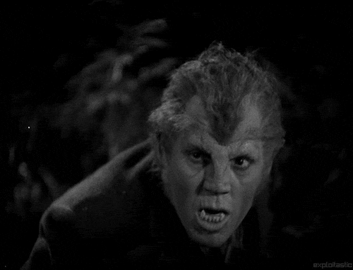 Image result for halloween wolfman  gif
